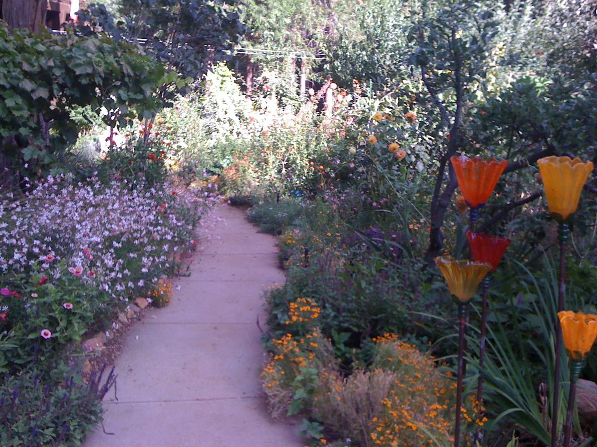 Harmony Ridge Lodge Nevada City Esterno foto
