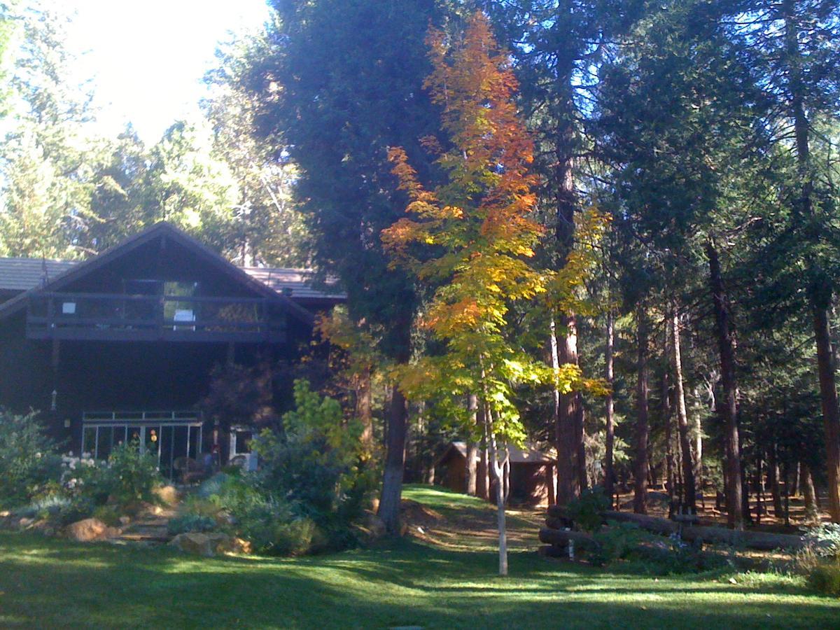 Harmony Ridge Lodge Nevada City Esterno foto