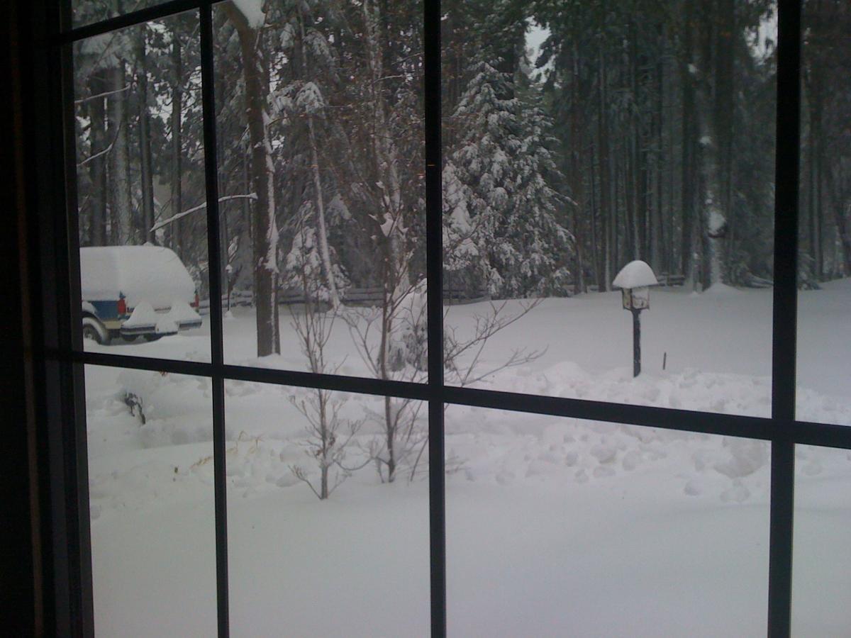 Harmony Ridge Lodge Nevada City Esterno foto