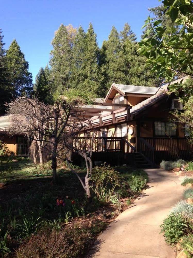 Harmony Ridge Lodge Nevada City Esterno foto