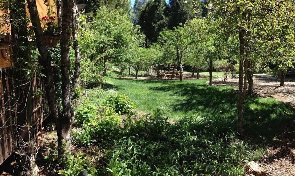Harmony Ridge Lodge Nevada City Esterno foto